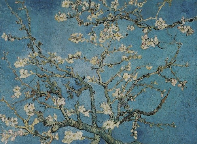 Art Collection for wall murals and canvas prints