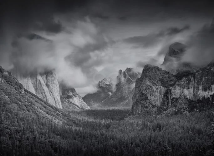 Black and white wall murals, black and white canvas prints