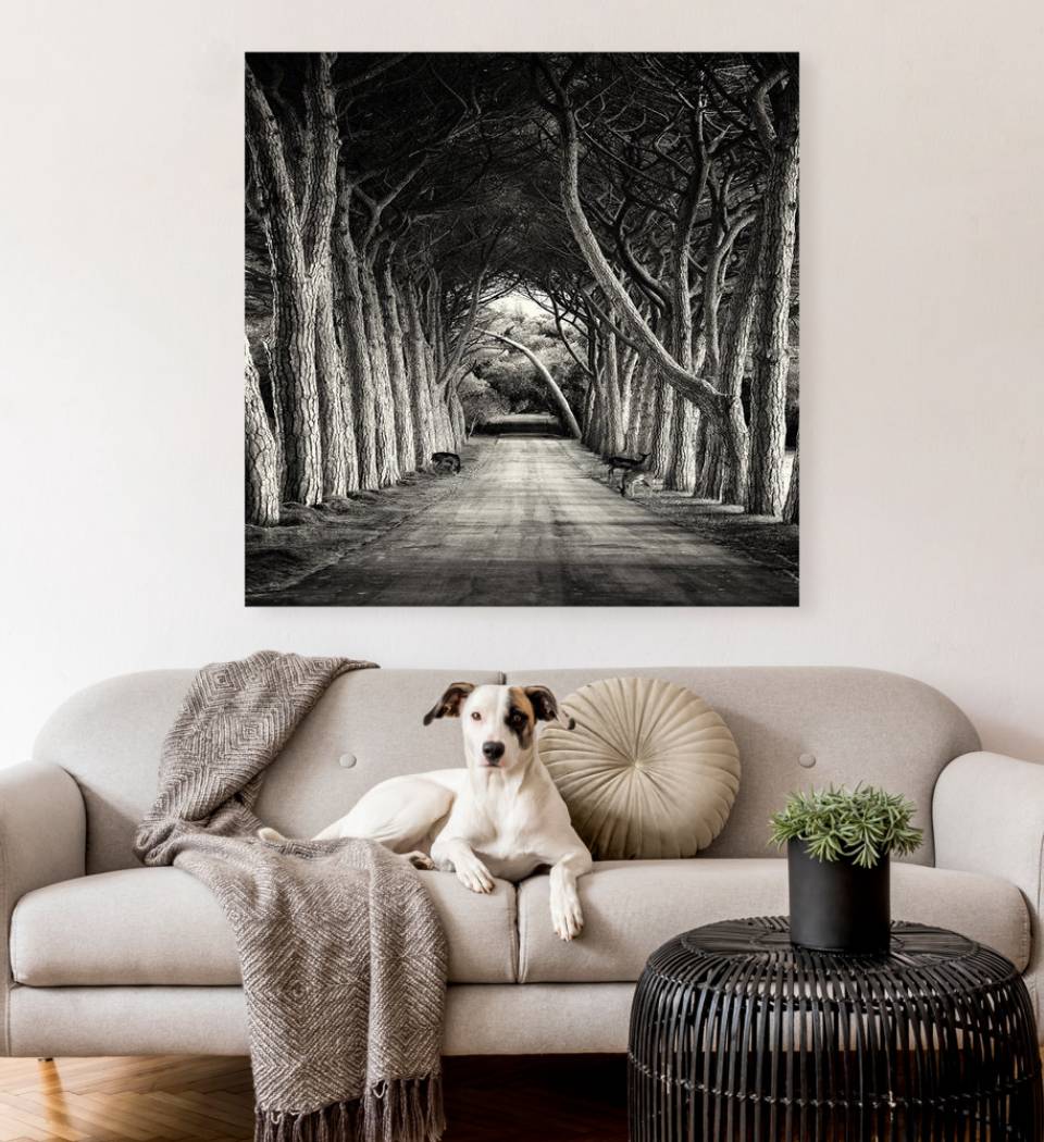 Gallery wrap canvas print in living room