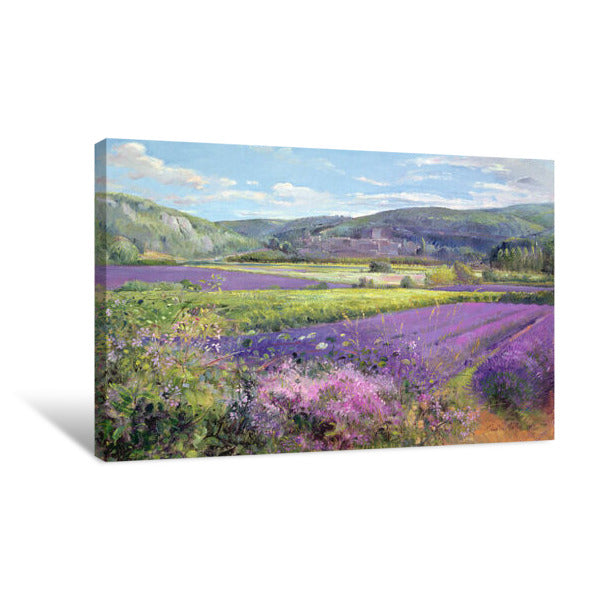 nature landscape canvas gallery prints