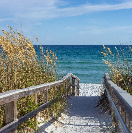 beach wallpaper murals